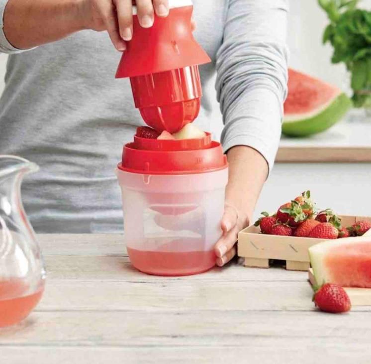 2 In 1 Mini Fruit Juicer (Pack of 1)