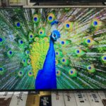 Aquabigguard Smart LED TV – 55 Inches (4K Ultra HD)