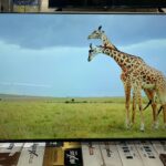 Aquabigguard Smart LED TV – 40 Inches (4K Ultra HD) | Tizen OS