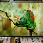 Aquabigguard Smart LED TV – 24 Inches